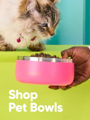 Pet Bowl