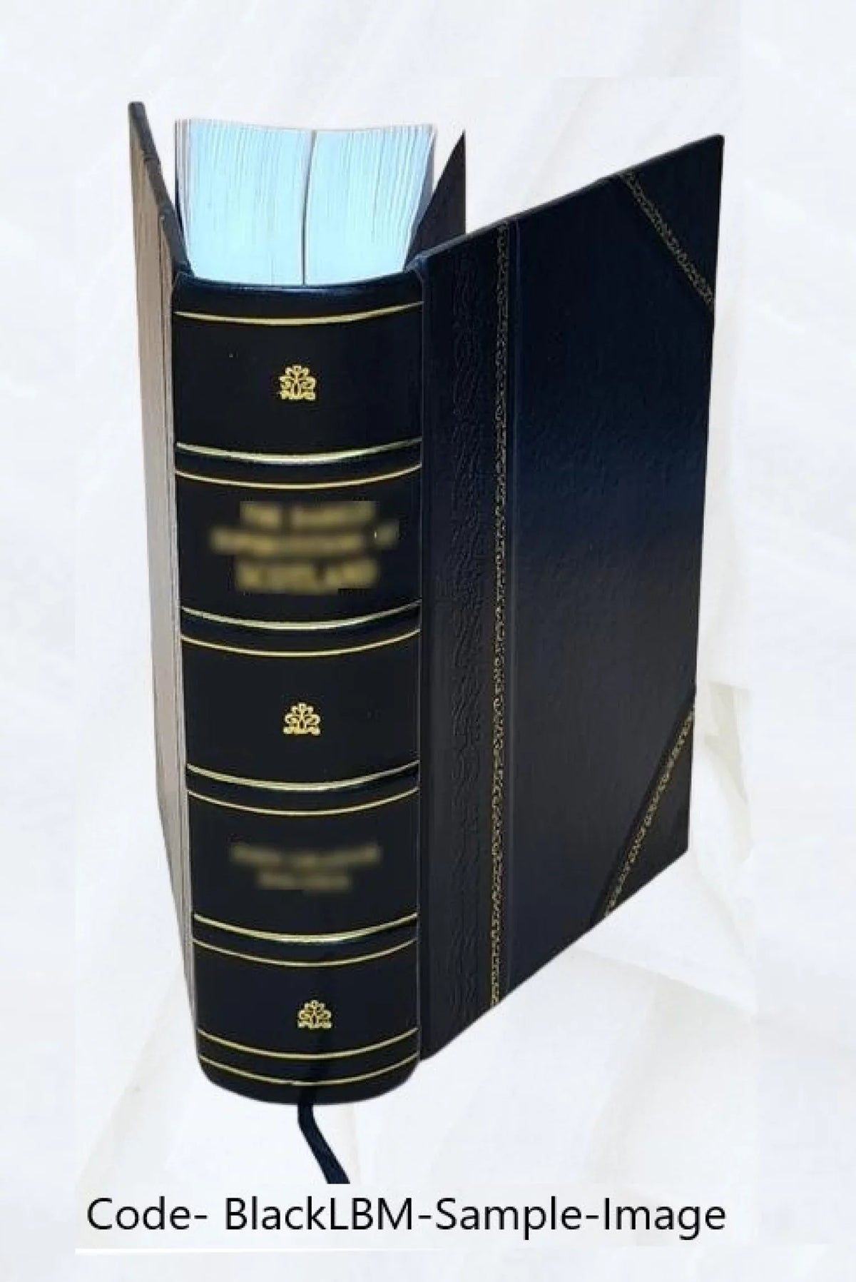 Mr. ... principles the showing treatise at time, a erroneous the state being evils of on A present the full numberless the : exposition and Ricardo free of n of 1824-5 the currency