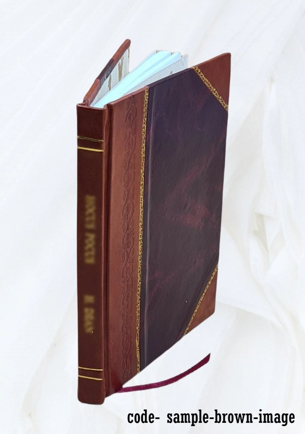 Bound] [Leather 1917 Orion 1917 February, Volume