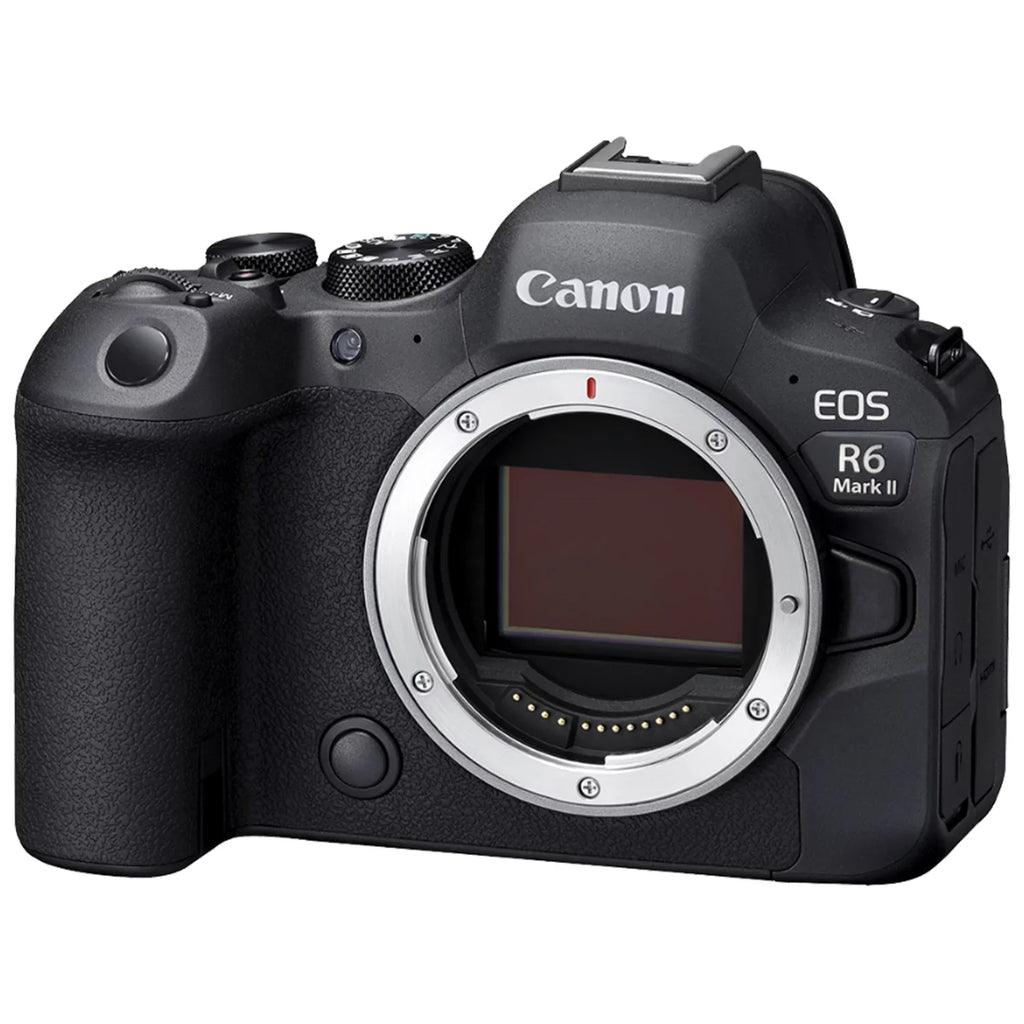 75-300mm Case Lens SanDisk Card Mark II + Mirrorless ZeeTech 128GB + Memory Bundle RF + Flash+ EOS 24-105mm EF Canon Camera with R6 + LED Accessory