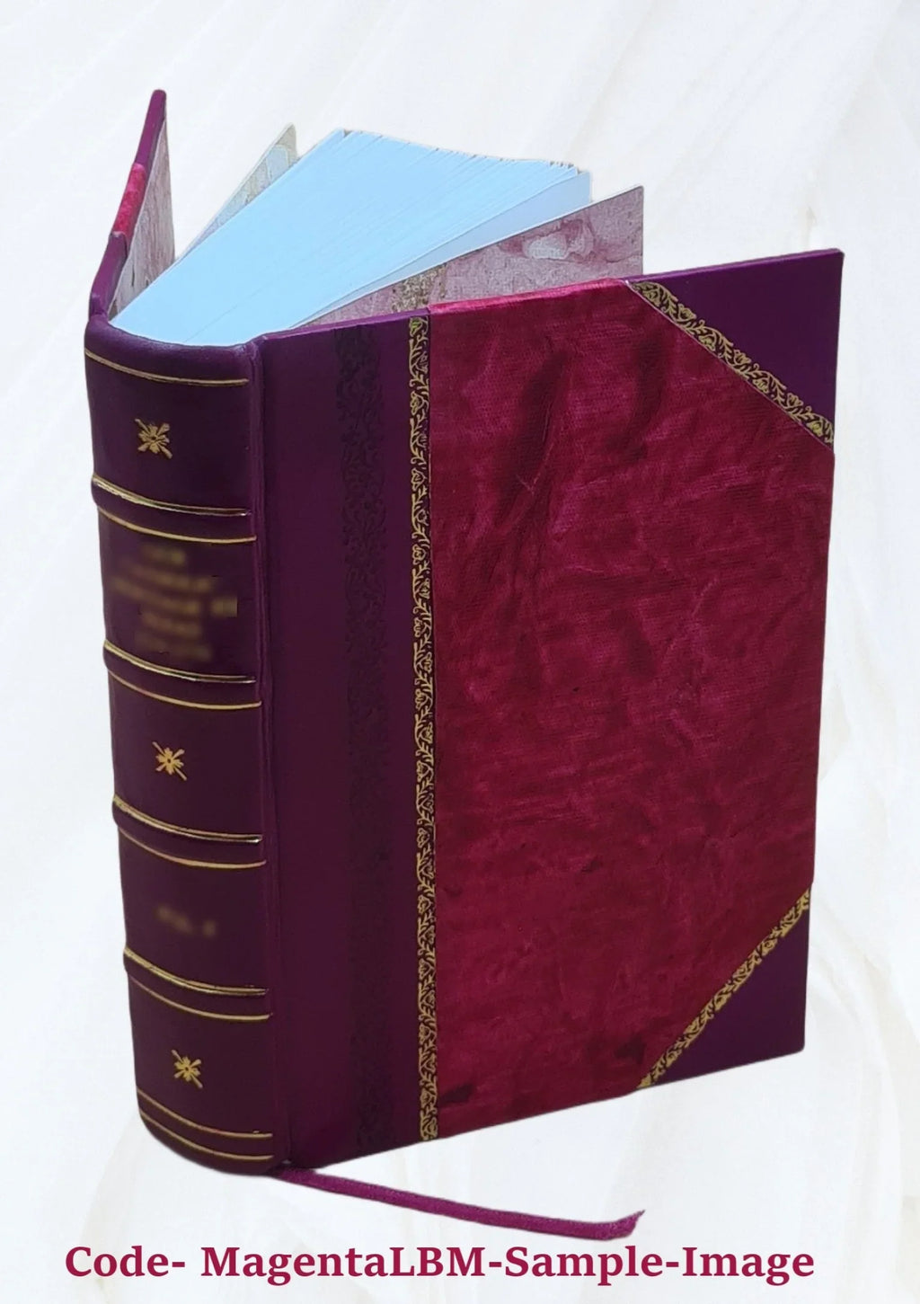 and Wales, South pictorial historical, biographical Bound] 2022 [Leather