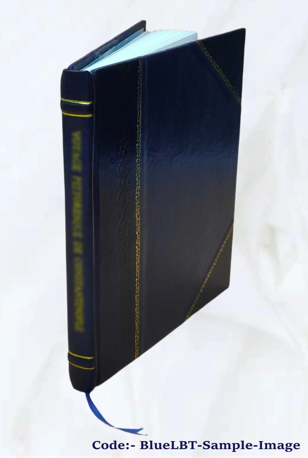 poems: [Leather American Bound] 1910 Three The raven